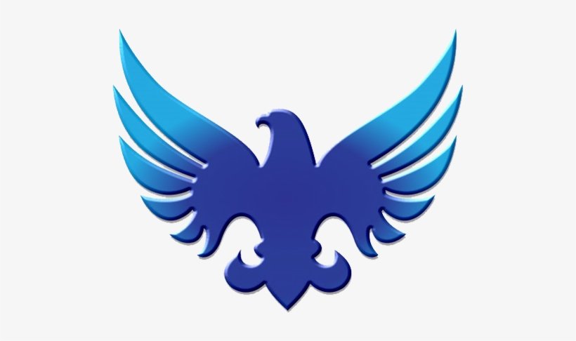 Eaglepac Technologies provider