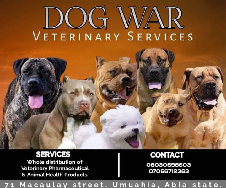 Dog War Veterinary Services provider