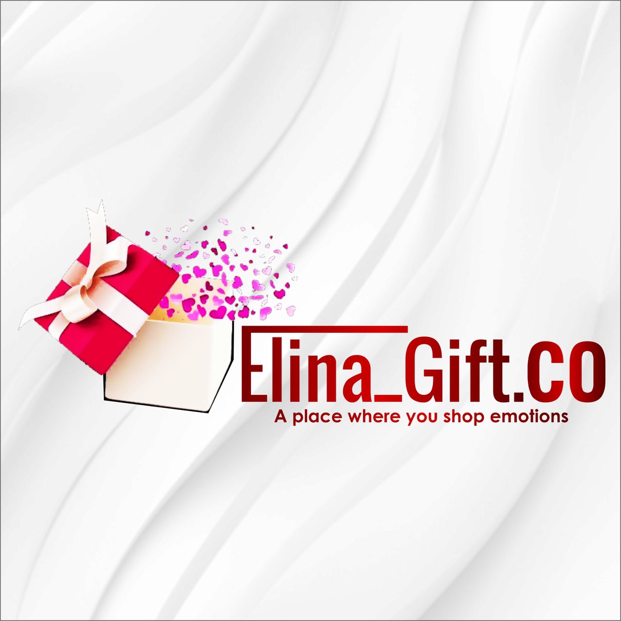 Elina anyservice service provider