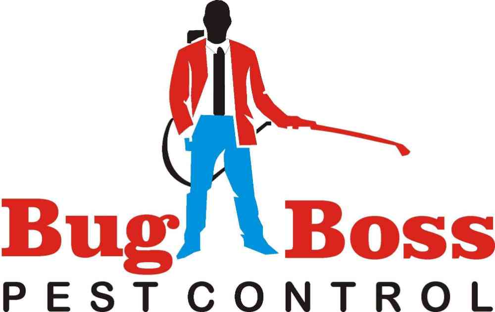 Bug Boss img