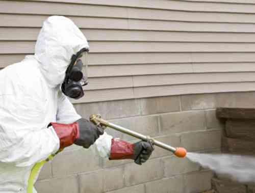 Fumigation & Pest Control (Get rid of all kinds of pests)
