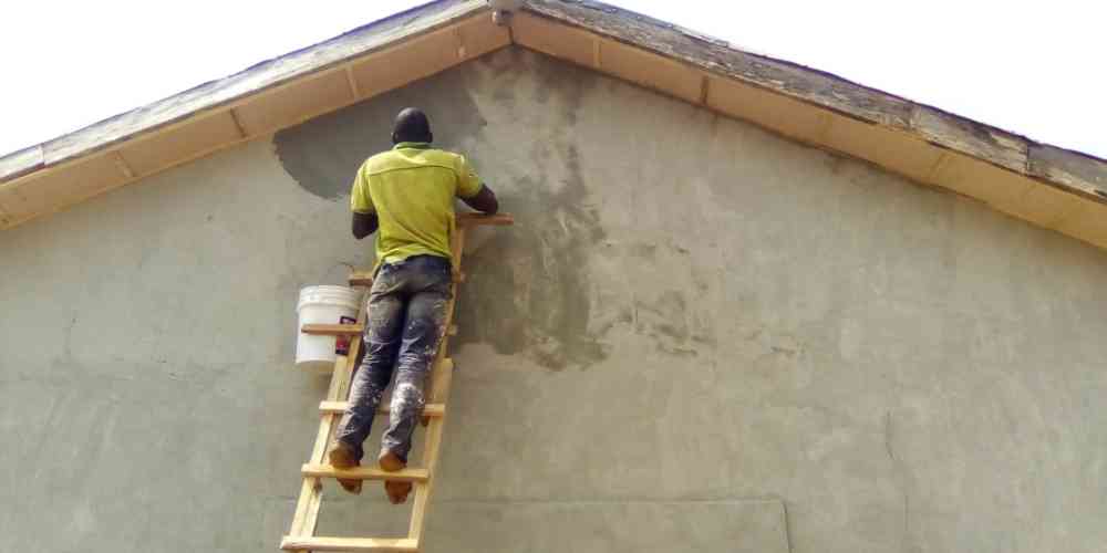 D professional and brilliant house painter
