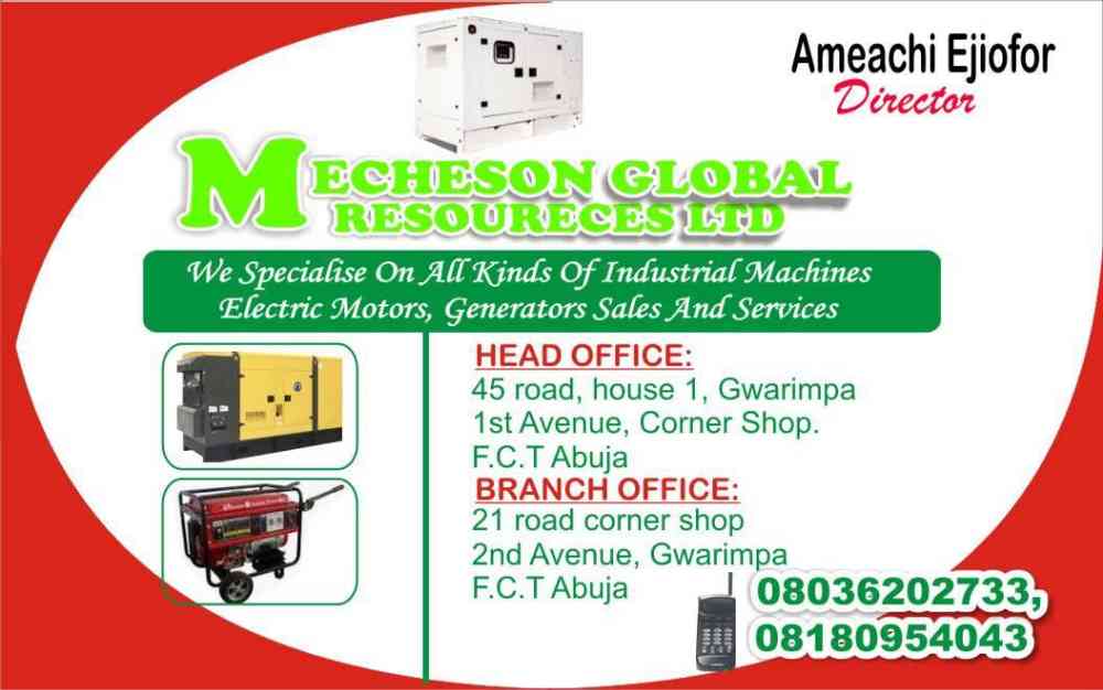 MECHESON GLOBAL RESOUCES LTD picture