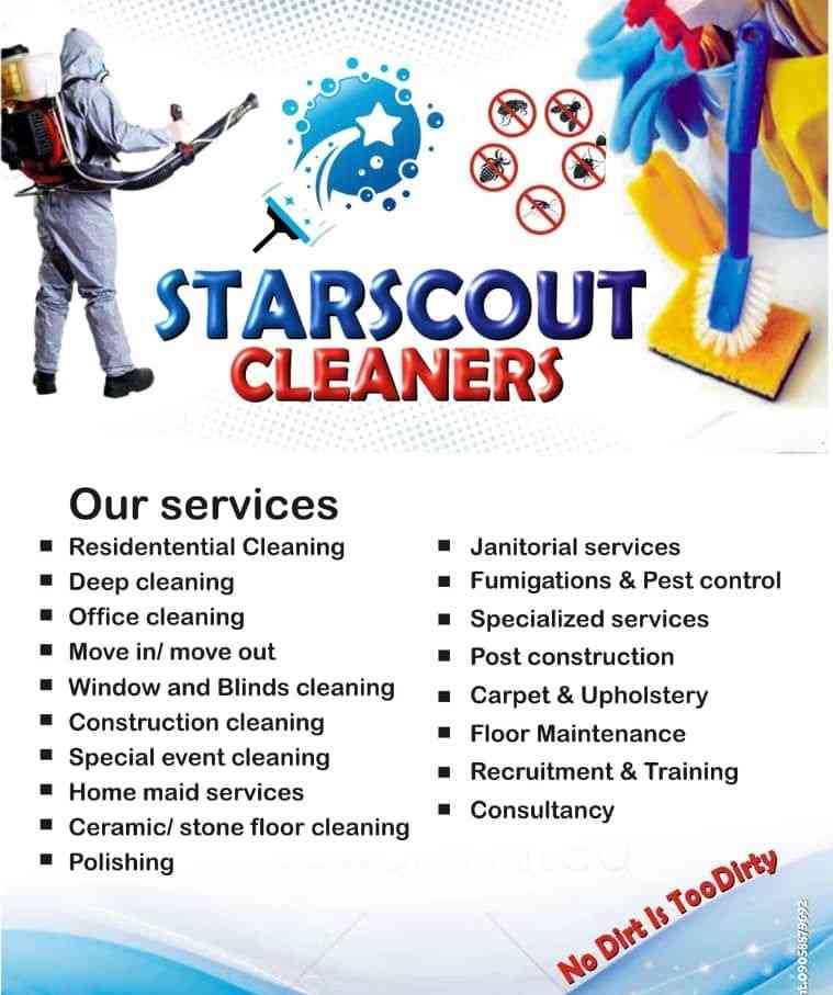 Starscout Clearners picture