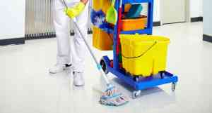 SKYHIGH CLEANING SERVICIES