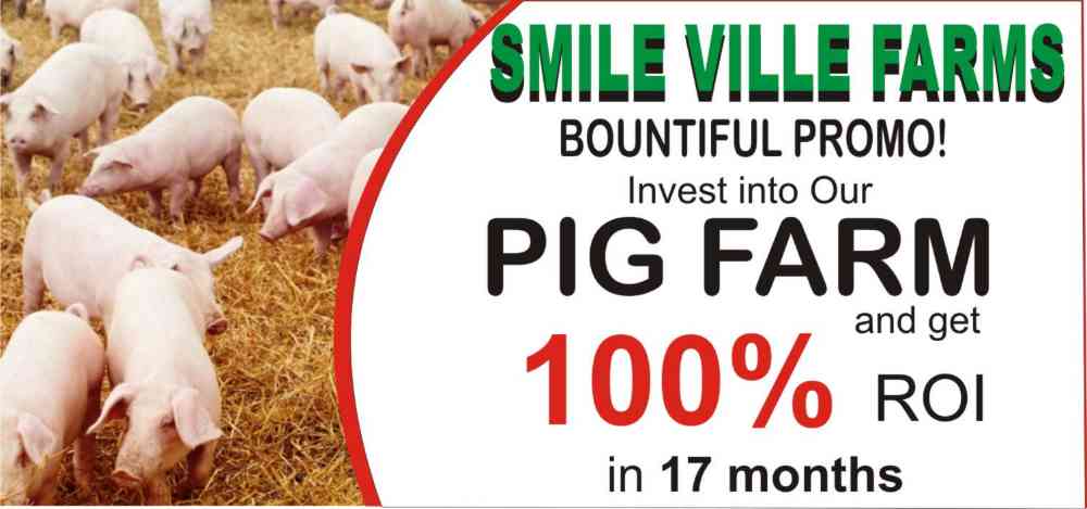 Smile Ville Farms picture
