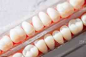 Bona Dental Clinic picture