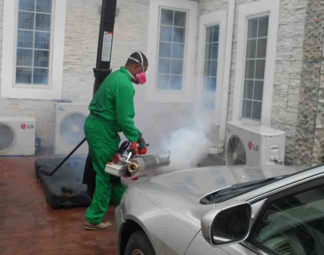 Phase 1 Fumigation & cleaning services picture