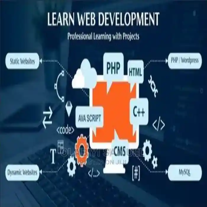 Web development training in ibadan picture