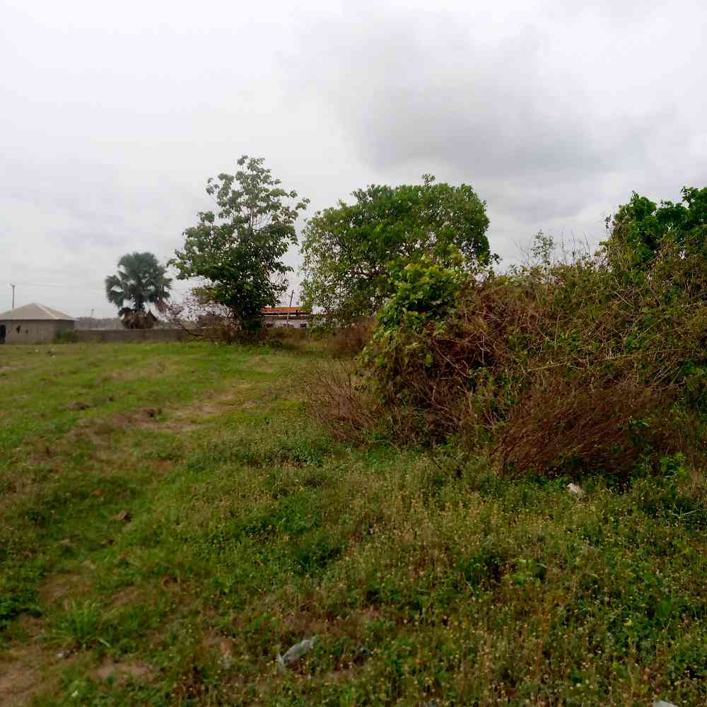 Buy Landed Property in Lagos Nigeria picture