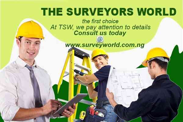 The Surveyors World picture