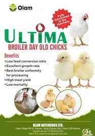 Olam Nigeria Feed and Hatcheries picture