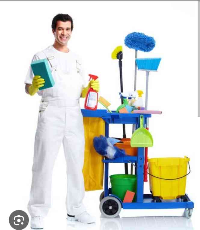 Dethel cleaning and fumigation services picture