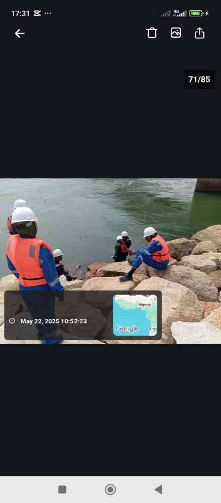 Environmental and Safety Management Service Professional picture