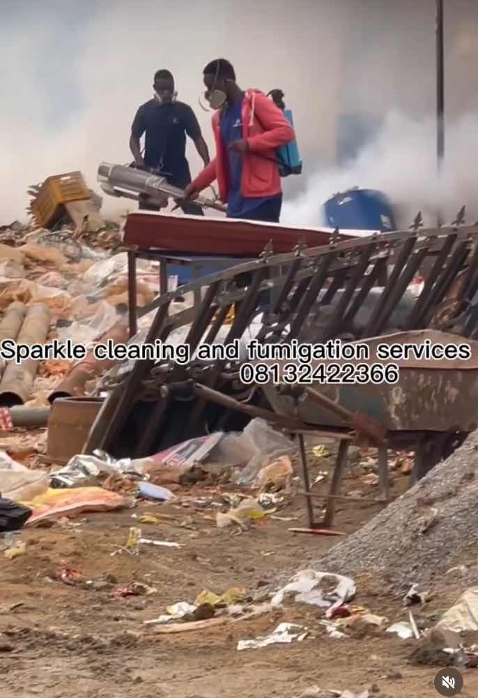 Jolagsparkle cleaning and fumigation services