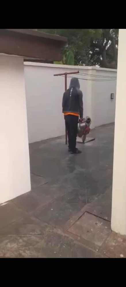 Jolagsparkle cleaning and fumigation services