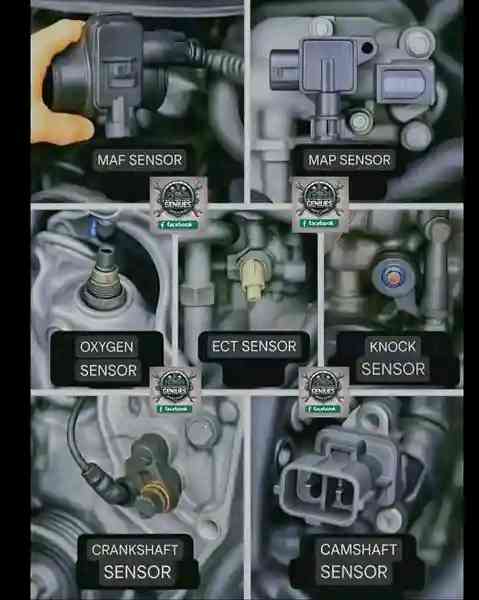 MaxiPro picture