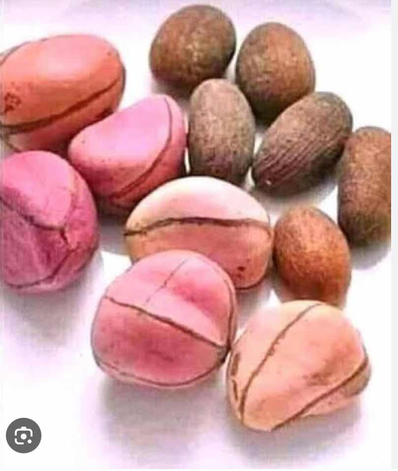 The most best powerful native doctor in Nigeria picture