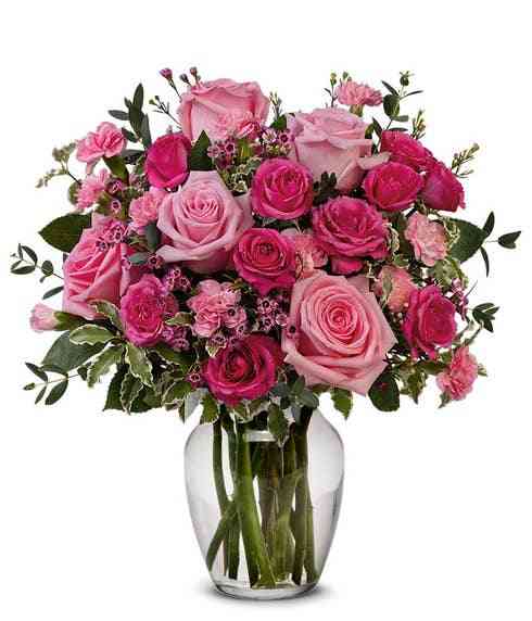 Sirkelvin Telecom Services