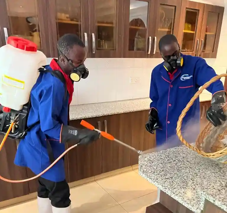 Goziman Pest control picture