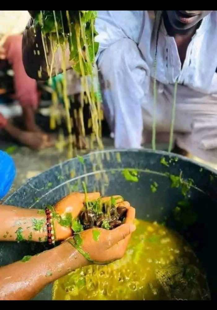 The best spiritual traditional herbalist in Nigeria 09014215133