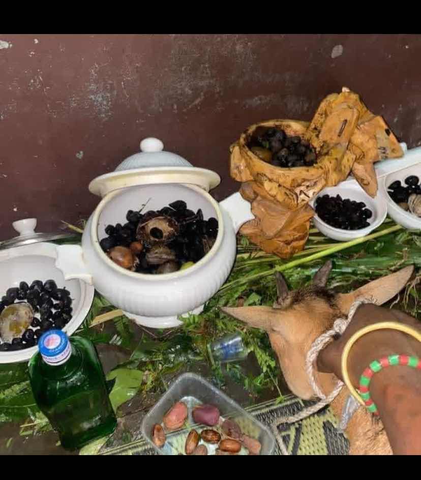 The best traditional herbalist in Nigeria +2349014215133