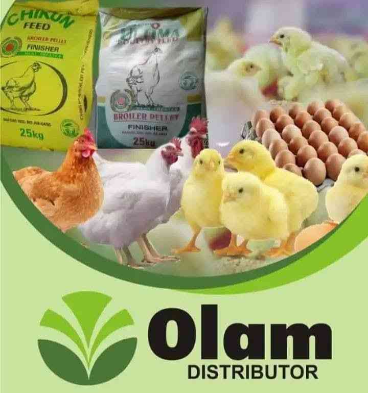 Olam farm Nigeria Limited poultry feeds