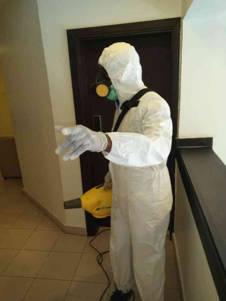 Goldspring Ecosolutions LTD | Cleaning & Fumigation Pest Control Service in Abuja NG