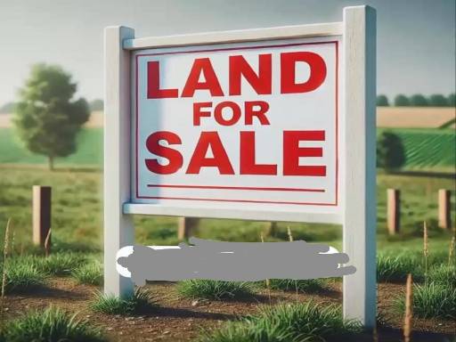 Real Estate