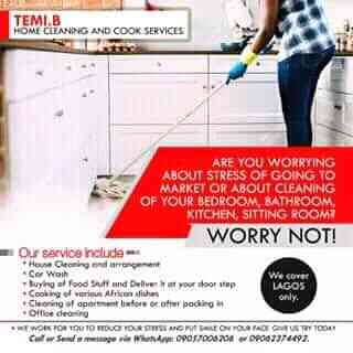 Temi. B cleaning service picture
