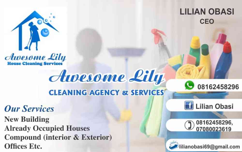 Awesome Lily Cleaning Agency