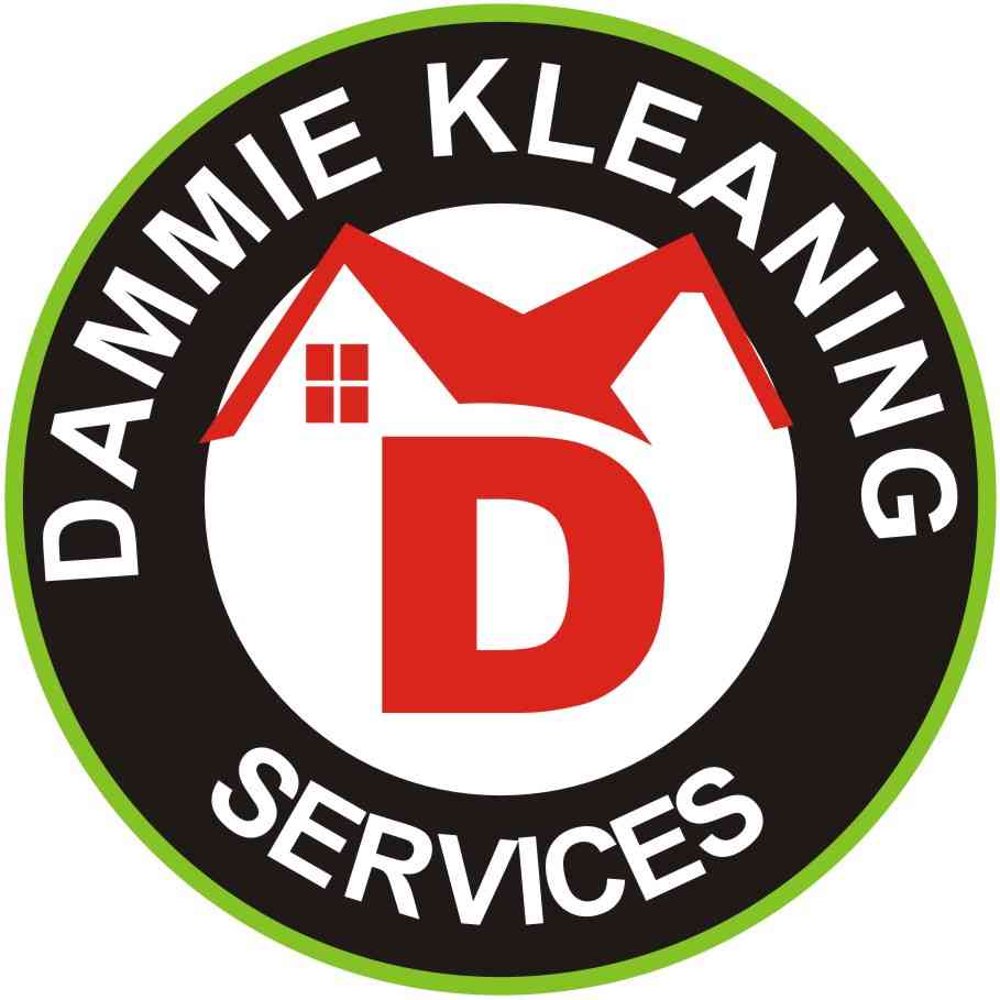 Dammie kleaning services picture