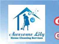 Awesome lilly cleaning agency