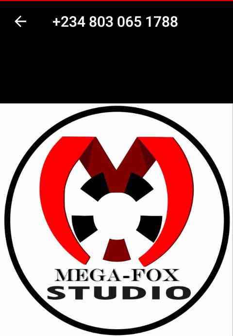 Mega fox studio picture